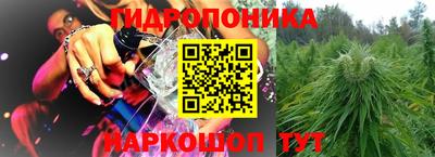 2c-b Будённовск