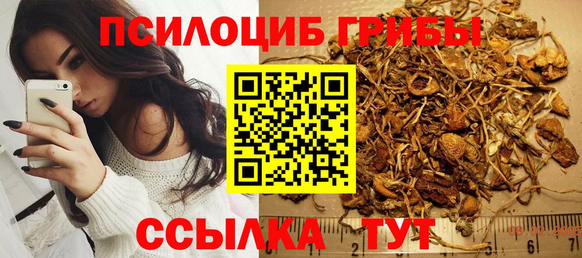 Галлюциногенные грибы GOLDEN TEACHER Людиново