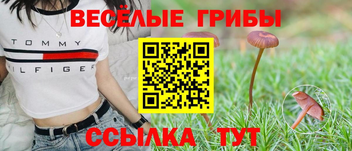 Псилоцибиновые грибы мицелий  как найти закладки  Людиново  Вход с VPN 