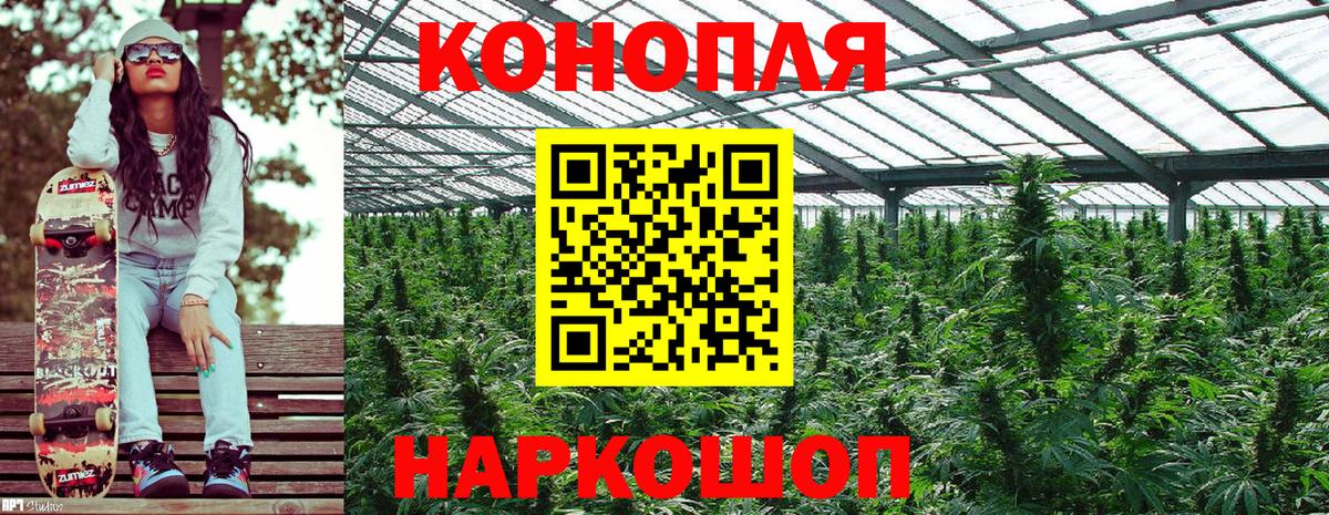 Бошки марихуана SATIVA & INDICA Людиново